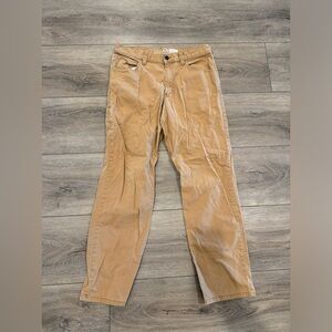 Carhartt tan men’s pants.